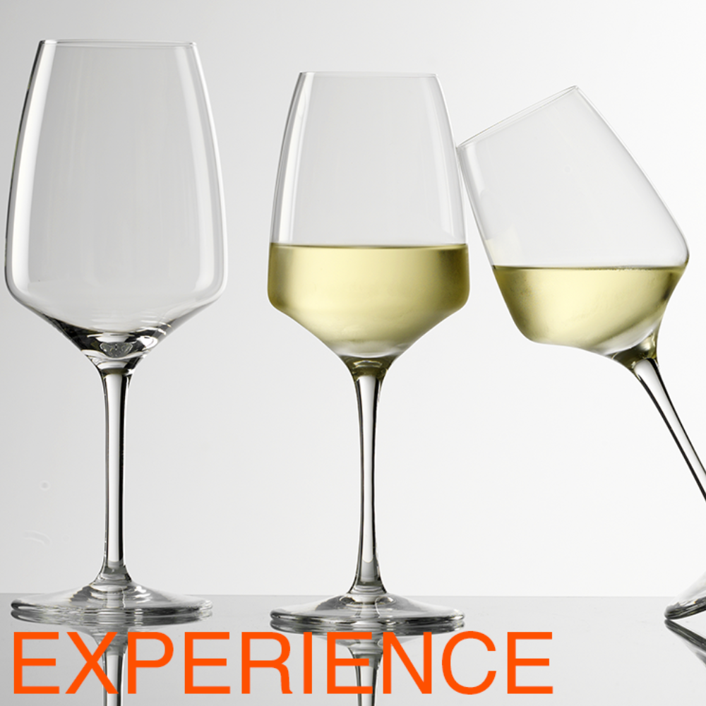 EXPERIENCE: The Complete Collection