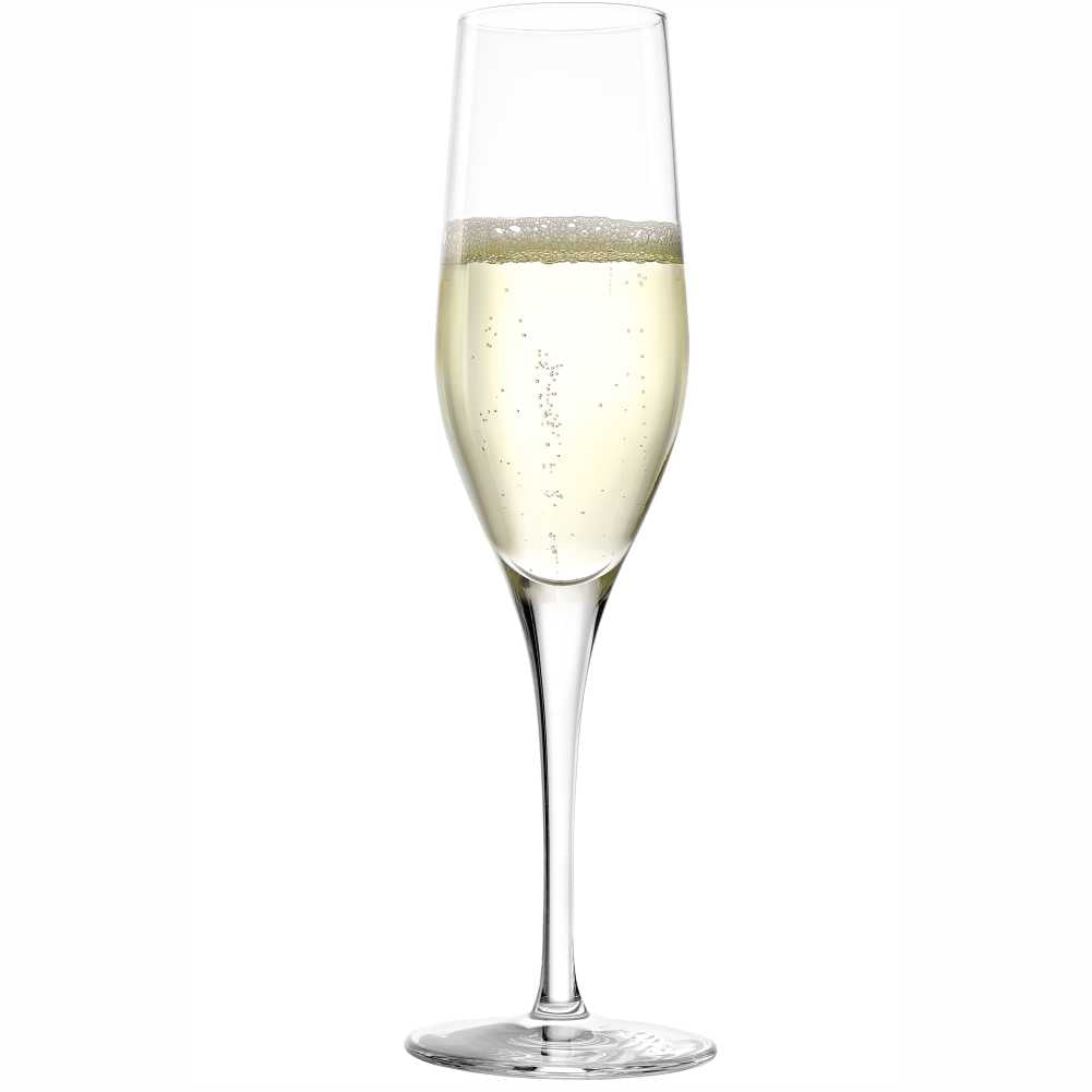 Exquisit Champagne Flute 6 oz